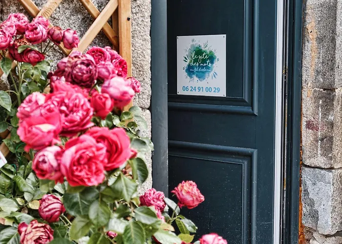 Grand Renove, Billard, Baby-foot, Vue Sur Riviere, Terrasse, Activites Diverses - Fr-1-582-76 * Le Chambon-sur-Lignon