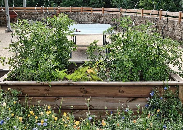 Grand Renove, Billard, Baby-foot, Vue Sur Riviere, Terrasse, Activites Diverses - Fr-1-582-76 Σπίτι διακοπών